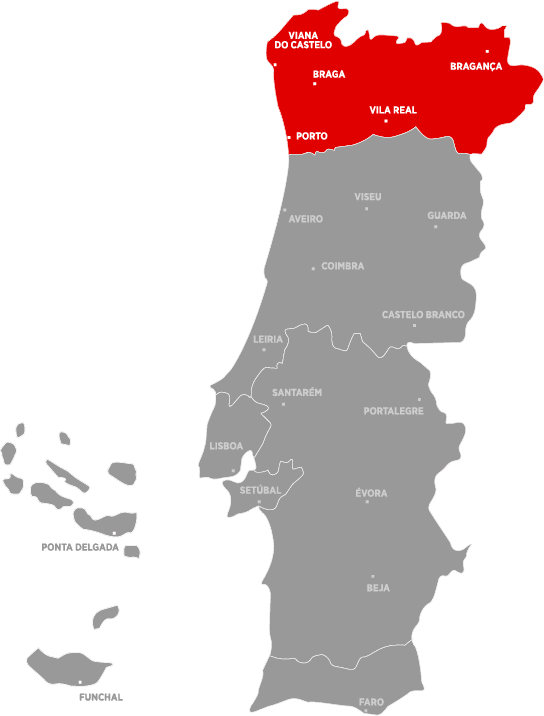 Porto e Norte de Portugal